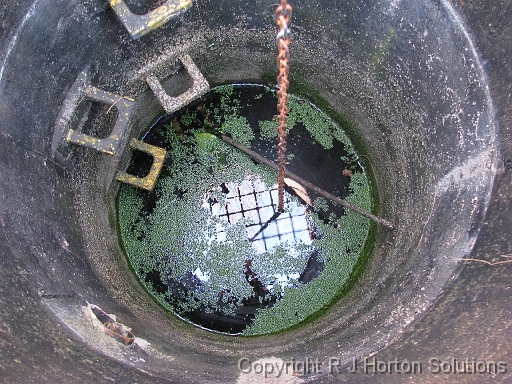 Well paradise Garden